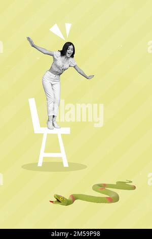Exclusive magazine picture sketch collage image of funky funny lady standing chair scaring snake isolated painting background Stock Photo