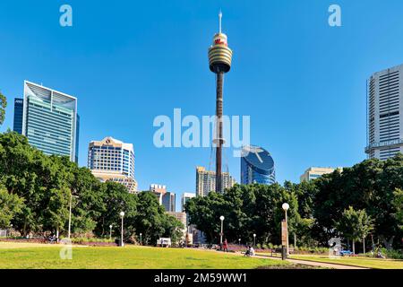 Sydney. New South Wales. Australia. The Sydney Tower Stock Photo