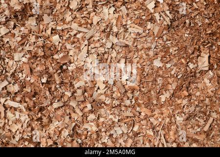 Wood sawdust texture on the floor Stock Photo
