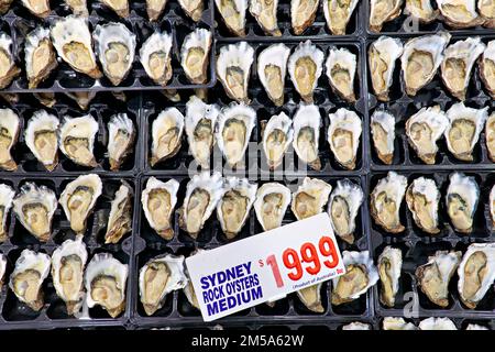 Sydney. New South Wales. Australia. The Fish Market. Fresh Oysters Stock Photo