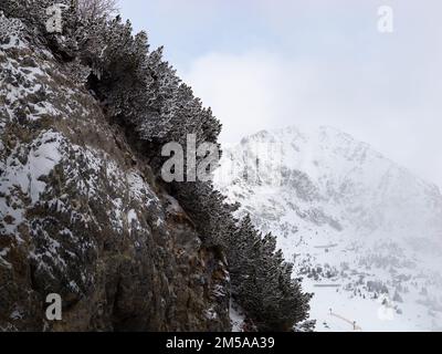 Stone surface and bushes in an alpine area in Obertauern, Austria. Snow is lying in the beautiful nature. A huge mountain is in the background. Stock Photo