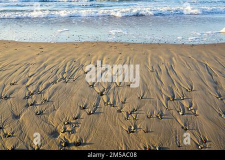 Small pebbles on the beach under afternoon light, an interesting background of the sand texture created by the wind, water and shadows Stock Photo
