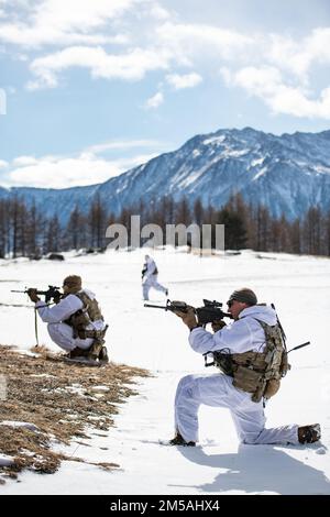 U.S. Army paratroopers assigned to 1st Squadron, 91st Cavalry Regiment (Airborne) provide covering fire as Italian soldiers from the 3rd Alpini Regiment bound toward an objective during an integrated platoon attack. This training is part of Exercise Steel Blizzard at Pian dell’Alpe in Usseaux, Italy on Feb. 17, 2022.     Exercise Steel Blizzard is an Italian Army-hosted multinational mountain and arctic warfare training exercise. Three reconnaissance platoons from the 173rd Airborne Brigade take part in a three-phase training regimen with the 3rd Alpini Regiment to expand force capabilities by