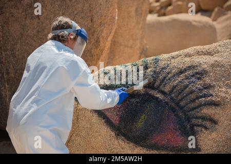 Twentynine Palms, United States of America. 03 August, 2022. A National Park Service ranger brushes paint remover on graffiti painted on a desert boulder at Joshua Tree National Park in Twentynine Palms, California. Credit: Anna Cirimele/NPS Photo/Alamy Live News Stock Photo