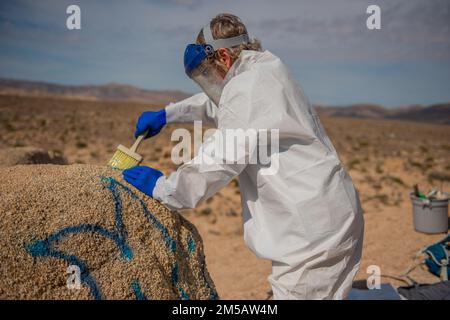 Twentynine Palms, United States of America. 03 August, 2022. A National Park Service ranger brushes paint remover on graffiti painted on a desert boulder at Joshua Tree National Park in Twentynine Palms, California. Credit: Anna Cirimele/NPS Photo/Alamy Live News Stock Photo
