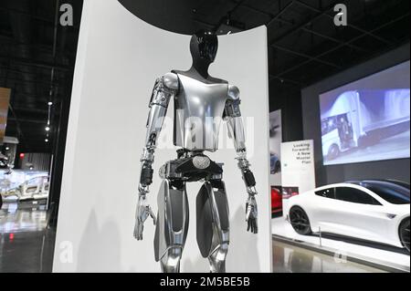 A Tesla Bot Prototype sits on display at the Petersen Automotive Museum