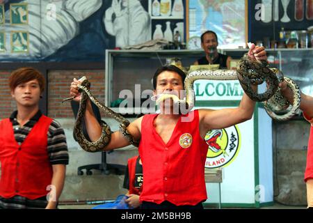 Cobra Show in Thailand, Visit Asia. Stock Photo