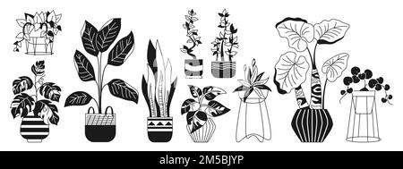 House potted plant, trendy glyph linear set. Exotic houseplants flowerpot for interior. Botanical flower house indoor blooming plants in pot, potted ceramic. Urban jungle decor doodle vector Stock Vector