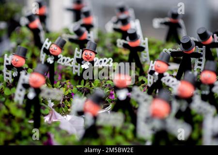 Weener, Germany. 21st Dec, 2022. Numerous clover plants with a small chimney sweep and the year '2023' stand on a transport cart in a horticultural business. The four-leaf clover, popular as a good luck charm, from a horticultural company in East Frisia is sold throughout Germany shortly before the end of the year. Credit: Hauke-Christian Dittrich/dpa/Alamy Live News Stock Photo