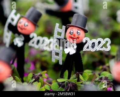 Weener, Germany. 21st Dec, 2022. Clover plants with a small chimney sweep and the year '2023' stand on a transport cart at a horticultural company. The four-leaf clover, popular as a good luck charm, from a horticultural company in East Frisia is sold throughout Germany shortly before the end of the year. (to dpa 'Green good luck charms from East Frisia for the whole republic') Credit: Hauke-Christian Dittrich/dpa/Alamy Live News Stock Photo