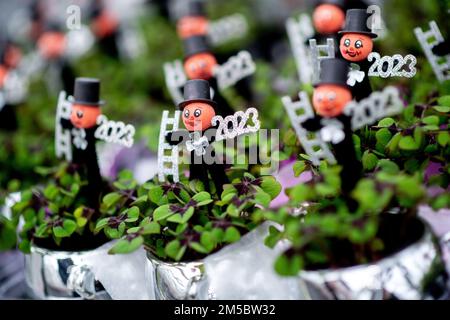 Weener, Germany. 21st Dec, 2022. Numerous clover plants with a small chimney sweep and the year '2023' stand on a transport cart in a horticultural business. The four-leaf clover, popular as a good luck charm, from a horticultural company in East Frisia is sold throughout Germany shortly before the end of the year. (to dpa 'Green good luck charms from East Frisia for the whole republic') Credit: Hauke-Christian Dittrich/dpa/Alamy Live News Stock Photo