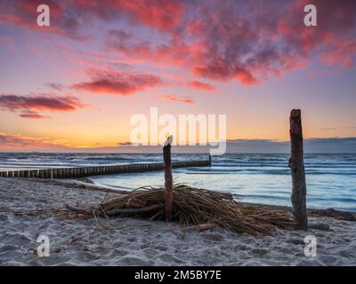 Sunset on the beach of the Baltic Sea with groyne, driftwood and washed-up reeds, Graal-Mueritz, Mecklenburg-Western Pomerania, Germany Stock Photo