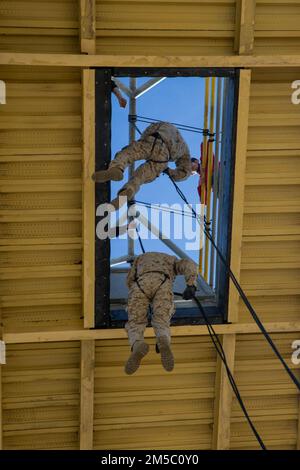 U.S. Marines with Bravo Company, 1st Recruit Training Battalion, descend from the rappel tower at Marine Corps Recruit Depot San Diego, Feb. 25, 2022. During the event Marines conducted at least one helo-skid rappel, one wall rappel, and one fast rope. Stock Photo