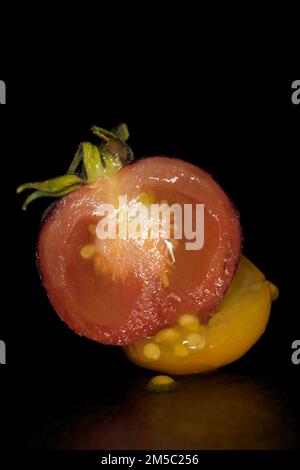 A halved Black Krim, black tomato (Solanum lycopersicum), stands on a halved yellow date wine tomato, studio shot with black background Stock Photo