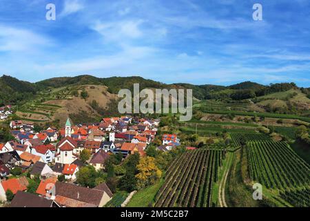 Aerial view of Schelingen am Kaiserstuhl with a view of the vineyards. Schelingen, Vogtsburg am Kaiserstuhl, Breisgau, Black Forest, Freiburg Stock Photo