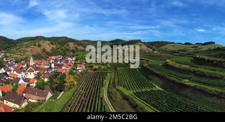 Aerial view of Schelingen am Kaiserstuhl with a view of the vineyards. Schelingen, Vogtsburg am Kaiserstuhl, Breisgau, Black Forest, Freiburg Stock Photo