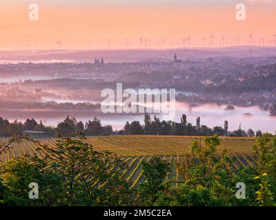 View at sunrise over vineyard and morning fog on Naumburg with cathedral and Wenceslas church, Saale valley, Naumburg, Burgenlandkreis Stock Photo