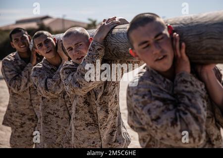 U.S. Marine Corps recruits with Mike Company, 3rd Recruit Training Battalion, conduct log drills at Marine Corps Recruit Depot San Diego, Feb. 28, 2022. Recruits worked in teams of six throughout the drills. Stock Photo