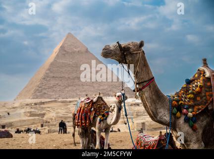 pyramids in giza cairo Stock Photo