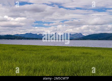 Landscape of Lofoten Islands in Norway with green meadow in the foreground and mountains in the distance Stock Photo