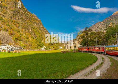 BRUSIO, SWITZERLAND - OCTOBER 28,2022: Bernina Express of Rhaetian Railway Line at the Brusio spiral viaduct on a autumn day in italian Switzerland Stock Photo