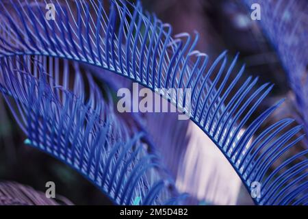 Amazing Bright Colorful Leaf. Bright Blue Colors. Aromatherapy, Perfume Advertising Concept. Innocence Theme Stock Photo