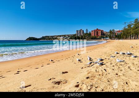 Sydney. New South Wales. Australia. Manly Shelly Beach Stock Photo