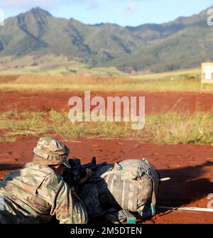 Hawaii Army National Guard (HIARNG) Soldier, Sgt. Trevor J. Castro, a helicopter repairer with Detachment 1, Charlie Company, 1st Battalion, 183rd Aviation Regiment, 103rd Troop Command, conducts weapon familiarization with the M4 Carbine, during the Best Warrior Competition (BWC), Schofield Barracks, Hawaii, March 5, 2022. Soldiers conducted zeroing of weapons to maintain their marksmanship skill and readiness. Stock Photo