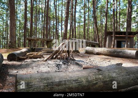 Branches pile for campfire in the woods. Stock Photo