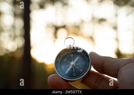 Compass in hand on natural pine forest background. hand holding compass in forest landscape. Young traveler searching direction with compass in summer Stock Photo