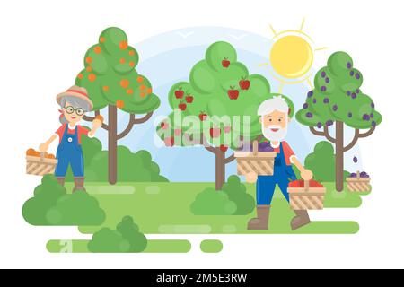 Couple in garden. Senior farmers grow the trees with fruits. Stock Vector