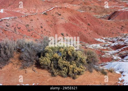 Painted Desert National Park in Arizona Stock Photo