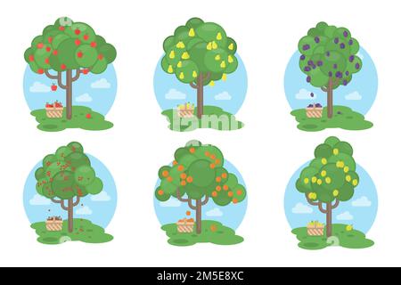 Fruits trees set on white background. Apples, plums, pears and more. Stock Vector