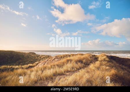Grass Dunes in Denmark. High quality photo Stock Photo