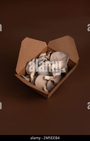 oyster mushrooms in craft box Stock Photo