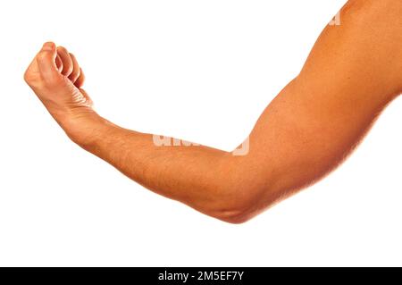 Man's muscular arm on a white background Stock Photo