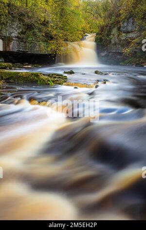 Wensleydale West Burton falls or Cauldron Falls with autumn colours Wensleydale Yorkshire Dales national park North Yorkshire England UK GB Europe Stock Photo