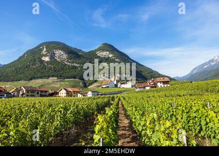 view of the surroundings of Aigle Castle in Switzerland Stock Photo