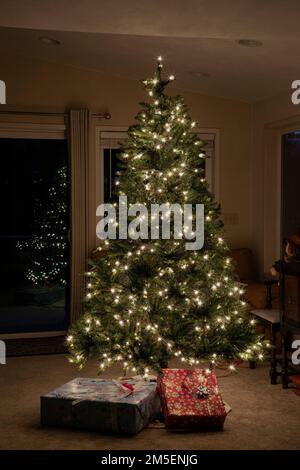 WA22841-00...WASHINGTON - Christmas tree and reflections. Stock Photo