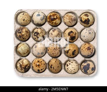 Quail eggs in cardboard packaging. Top view. Stock Photo