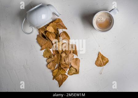 Autumn leaves spilling and flowing out of teapot art concept Stock Photo