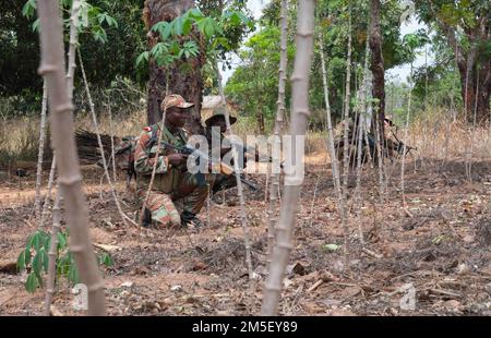 Beninese soldiers from the 1st Commando Parachute Battalion scan their sectors of fire while on patrol during Joint Combined Exchange Training (JCET) in Ouassa, Benin, March 09, 2022. U.S. engagement comes with mutual benefit, upholds international norms, and treats partners as equals. Stock Photo