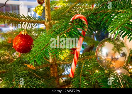 Red striped candy cane hangs in a Christmas tree for decoration Stock Photo