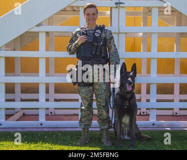 U.S. Marine Corps Cpl. Makayla A. Wedge, a military working dog (MWD) handler with Headquarters and Service Battalion, Marine Corps Recruit Depot (MCRD) San Diego, poses for a photo with MWD Nero at MCRD San Diego, March 11, 2022. Wedge is assigned to the Provost Marshal Office and partnered with MWD Nero, a patrol explosive detector dog. MWD handlers employ MWDs to conduct vehicle searches, searches of open areas, buildings, vehicles and other locations for the detection of explosives or illegal drugs. Stock Photo
