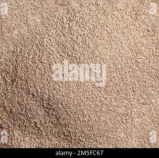 Dry yeast background for use as a background image or texture. Stock Photo