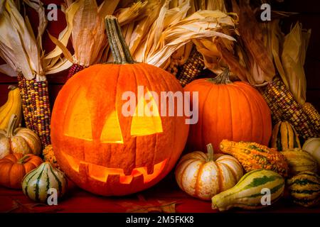 Smiling Pumpkin Autumn Still Life Stock Photo