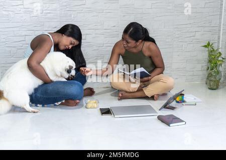 Two friends working together on a design project Stock Photo