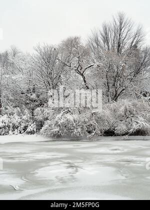 Canadian snow scene the week before Christmas. Snow covered trees line the bank of a frozen Brown's Inlet in Ottawa, ON, Canada. Stock Photo