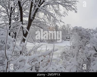 Canadian snow scene the week before Christmas. Sun making a valiant effort to shine through the snow filled clouds. Stock Photo