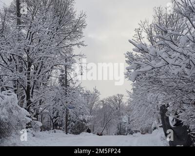 Canadian snow scene the week before Christmas. Pale winter sun barely piercing the snow clouds, bracketed by snow laden tree branches. Stock Photo